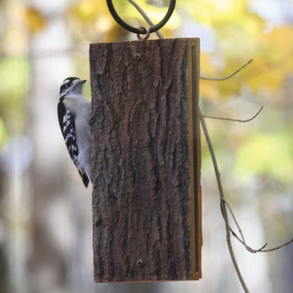 Birds Choice Sandwich Suet Bird Feeder Wayfair